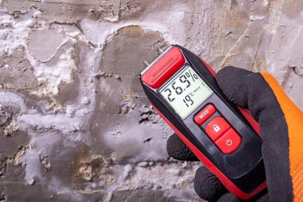 Best Commercial Mold Remediation in Hamilton, AL