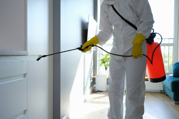 Best DIY Mold Remediation Support Services in Hamilton, AL