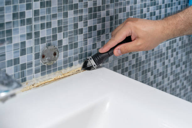 Best Preventive Mold Services in Hamilton, AL