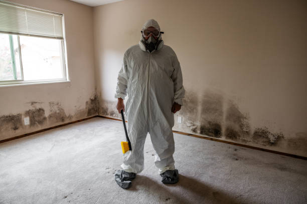 Best Mold Remediation for Specific Building Types in Hamilton, AL